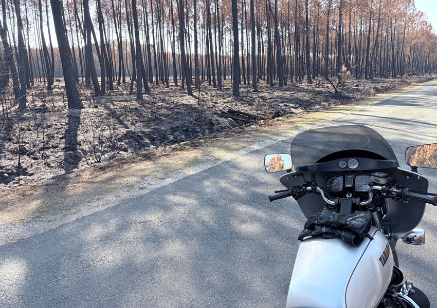 Image LES ROTARIENS DANS LE FEU DE L’ACTION