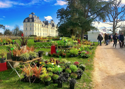 Image LA FÊTE DES PLANTES ATTIRE 14 000 VISITEURS