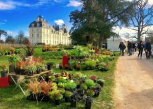 Image LA FÊTE DES PLANTES ATTIRE 14 000 VISITEURS