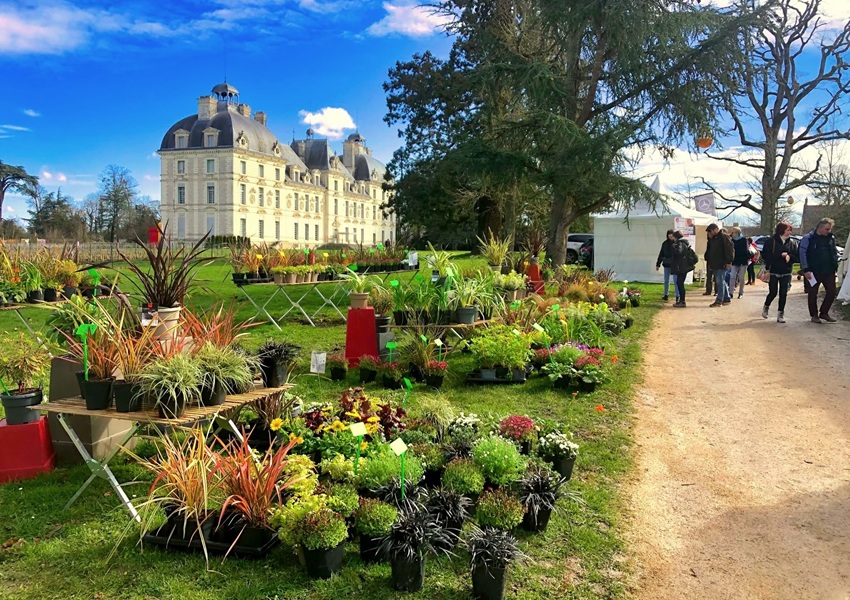 Image LA FÊTE DES PLANTES ATTIRE 14 000 VISITEURS