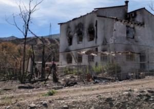 Image UN SOUTIEN AU MONDE RURAL DÉVASTÉ PAR LE FEU