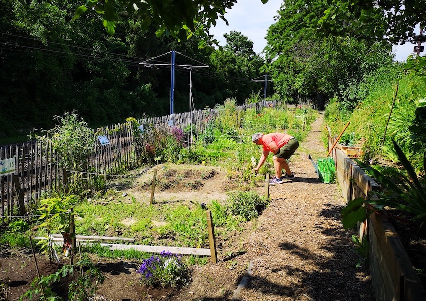 Image JARDIN SOLIDAIRE