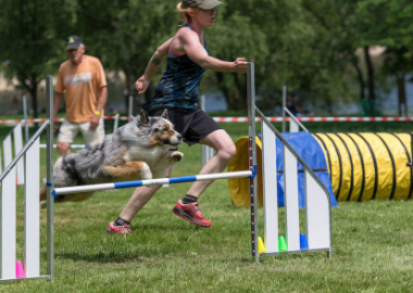 Franchir l'obstacle avec le Rotary
