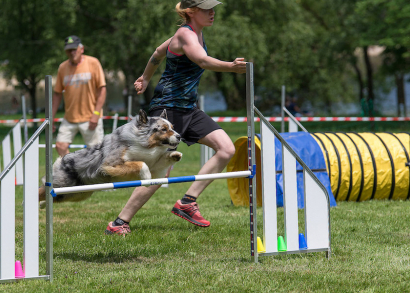 Image Franchir l'obstacle avec le Rotary