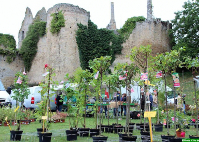 Image Fête des plantes et animaux de basse-cour