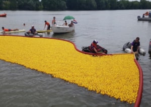Image 20 000 canards pour aider des centaines d'enfants
