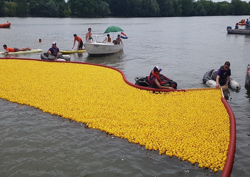 Image 20 000 canards pour aider des centaines d'enfants