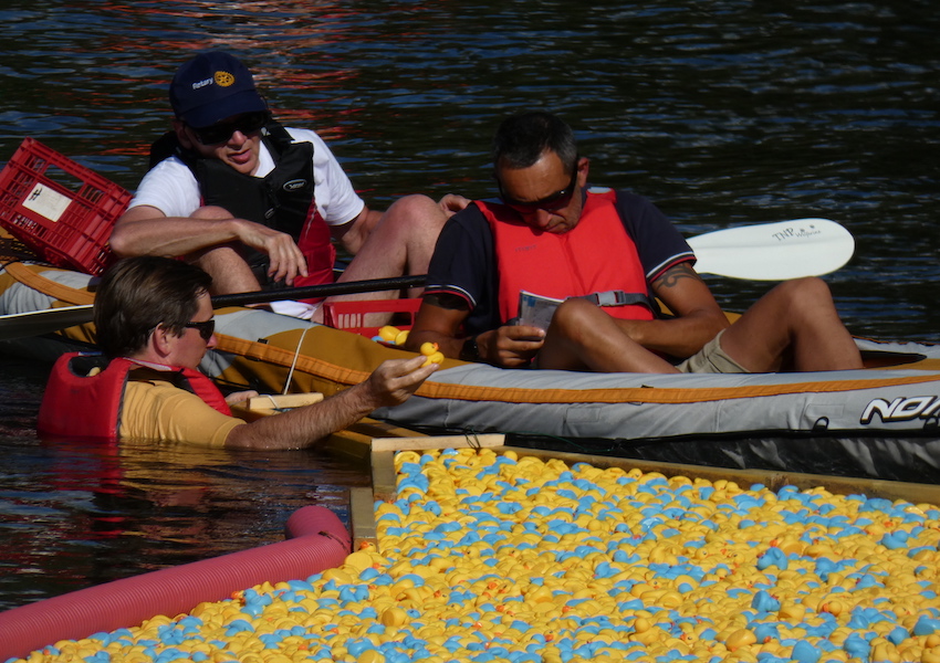 Image DES ROTARIENS SE MOUILLENT... AVEC DES CANARDS